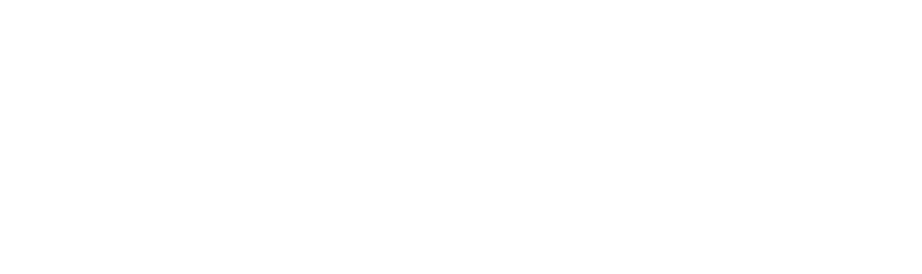 参政党